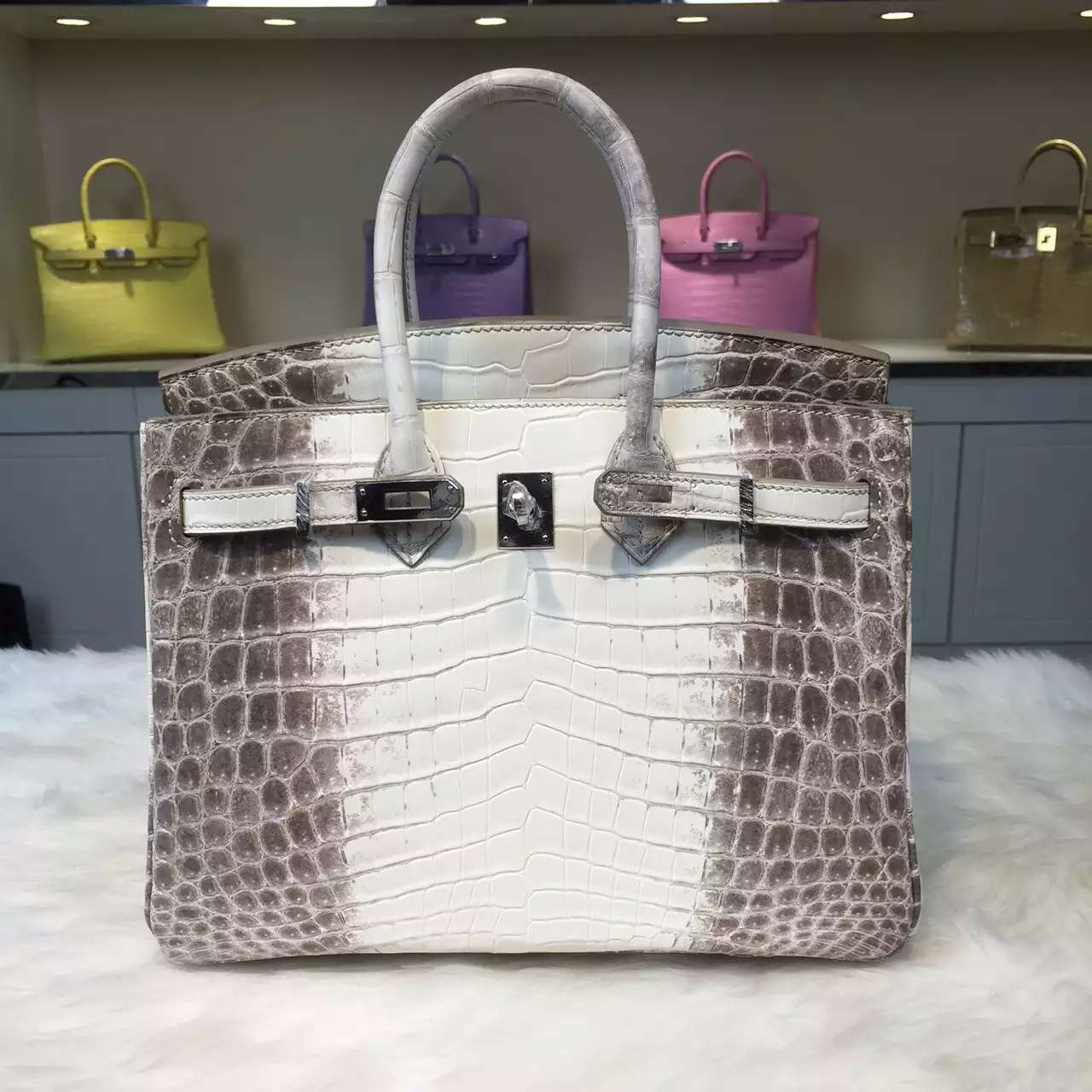 Elegant Hermes Himalaya Crocodile Skin Birkin Bag 25CM Luxury ...