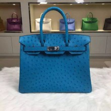 HEMA \u2014 Hermes Birkin