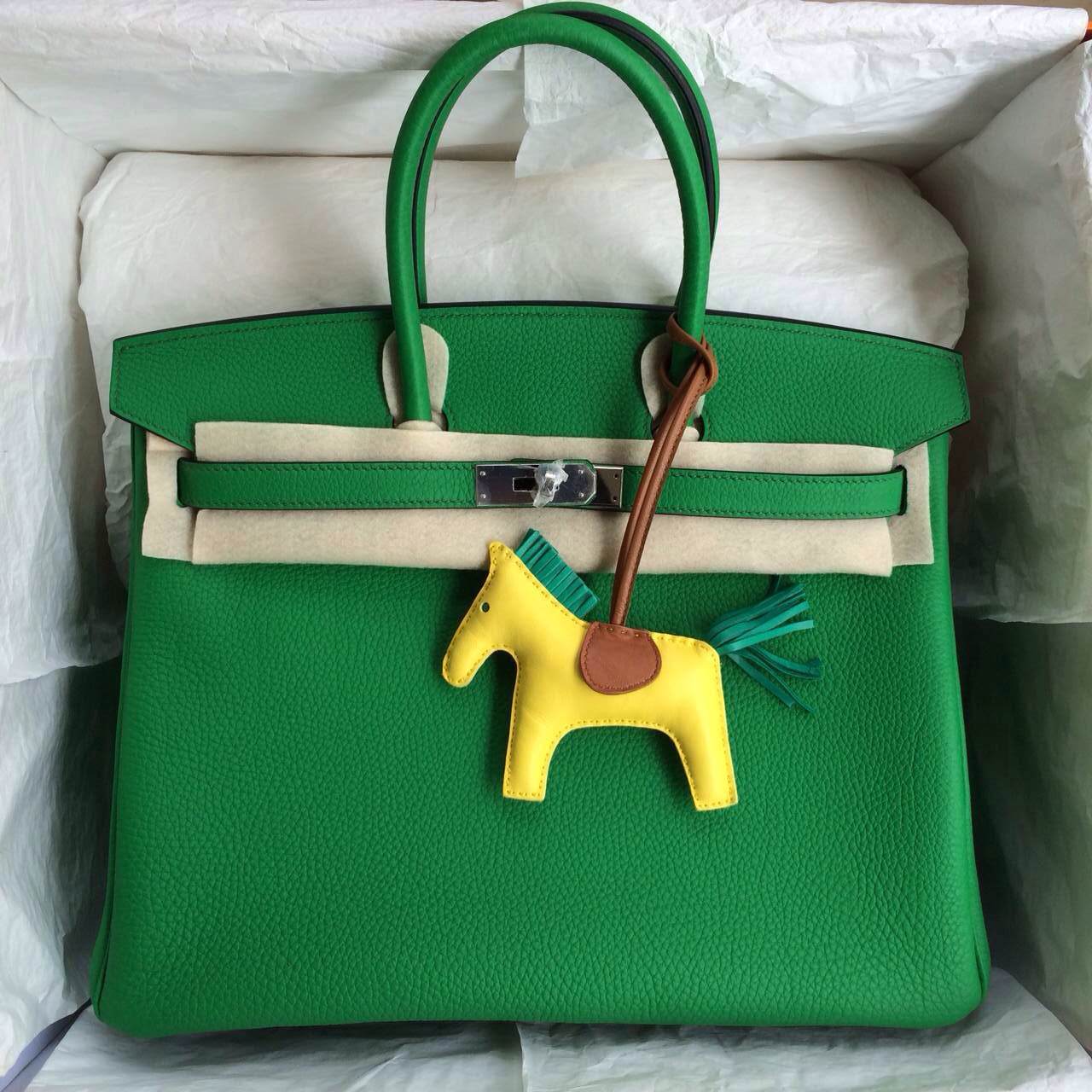 hermes bag green colour