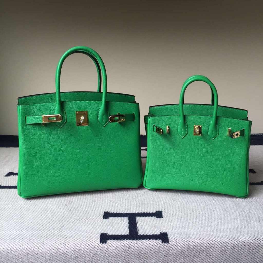 hermes birkin 25 epsom