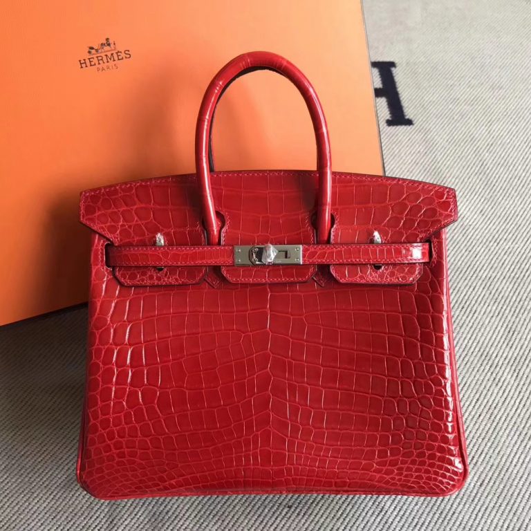 red snakeskin birkin bag