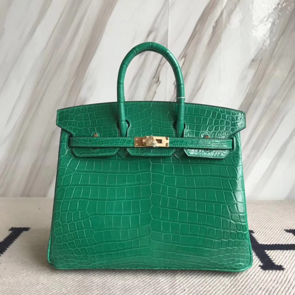 Wholesale Hermes Birkin Bag25CM in 6Q Emerald Green Crocodile Shiny ...