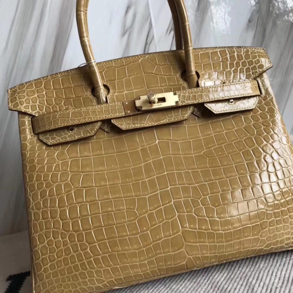 Noble Hermes 1C Poussiere Color Porosus Shiny Crocodile Birkin30CM Bag ...