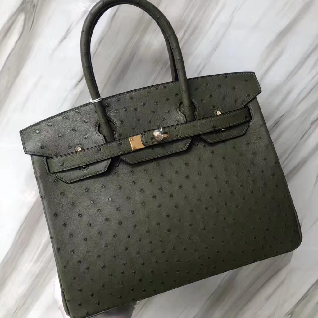 Hermes Ostrich Birkin Archives - H Factory Birkin