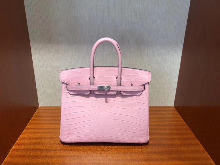 barbie birkin