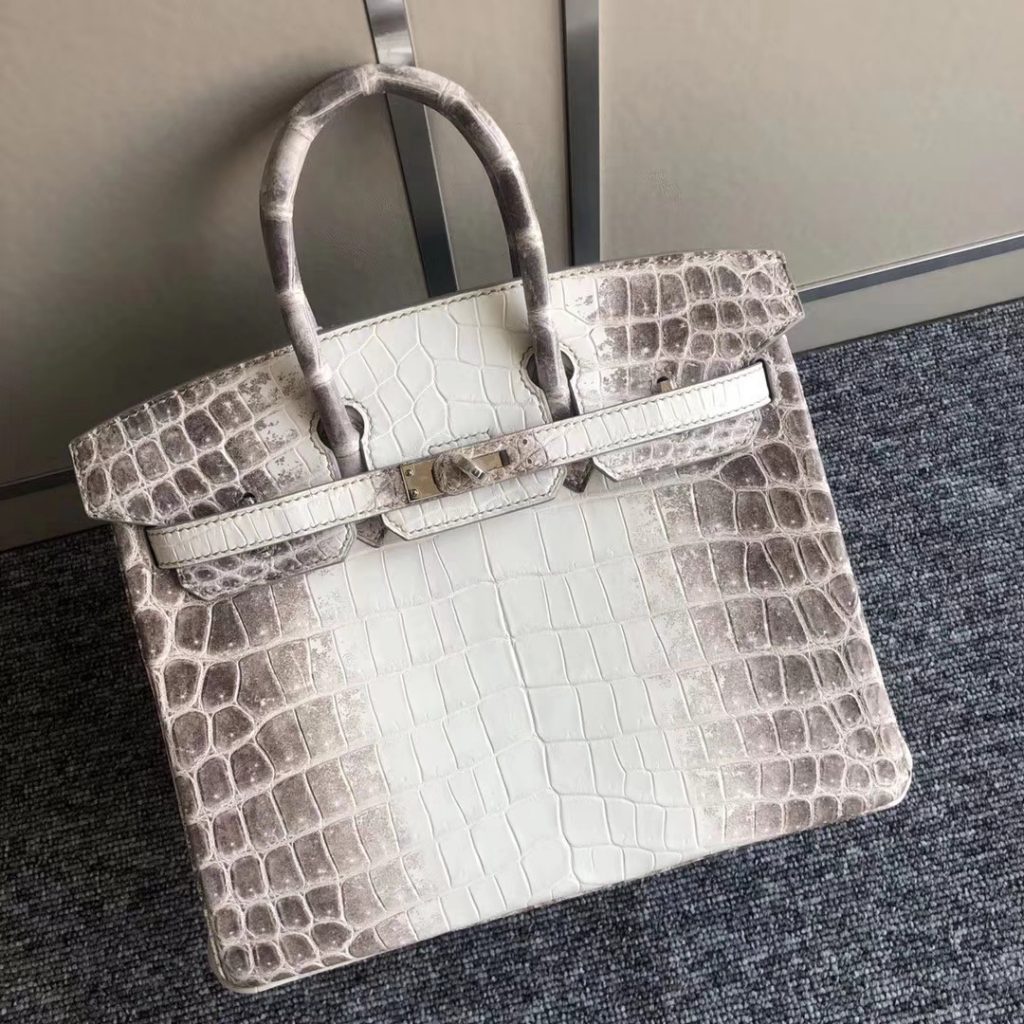 Elegant Hermes Himalaya Crocodile Leather Birkin25cm Women's Bag Silver ...