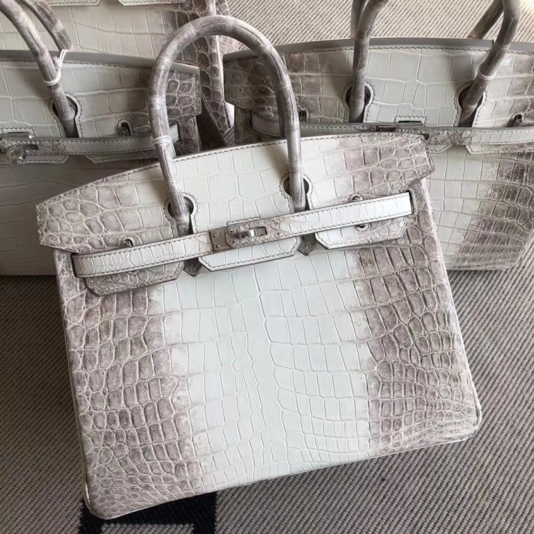 Stock Hermes Himalaya Crocodile Birkin Bag25CM Silver Hardware - H ...